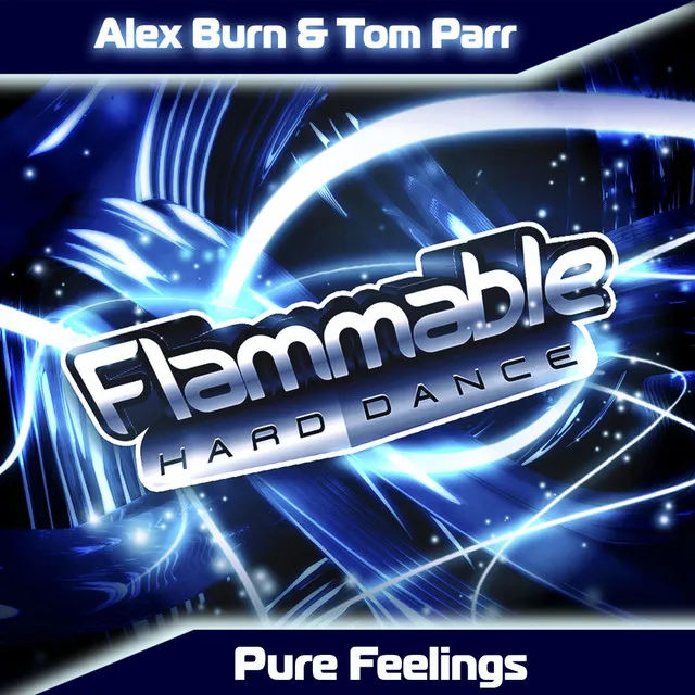 Pure Feelings - Original Mix