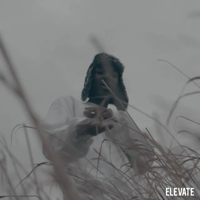 Elevate