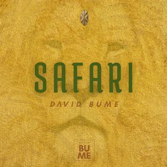 Safari by David Bume