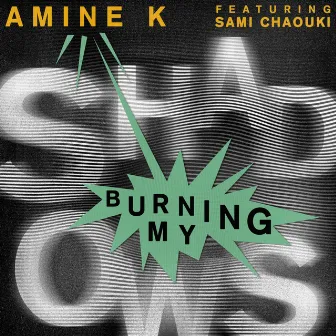 Burning My Shadows by Amine K