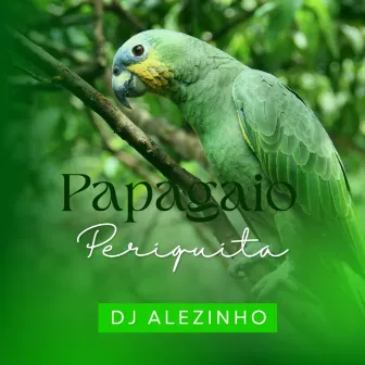 Papagaio periquita by Mc Magro ZS