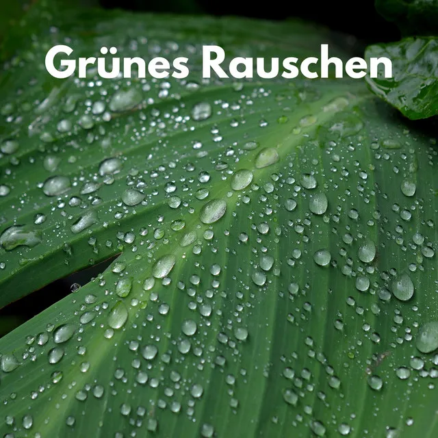 Bewegtes grünes Rauschen vom Ozean