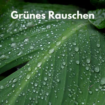 Grünes Rauschen by Weiße Rauschen