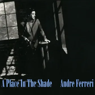 A Place in the Shade by Andre Ferreri