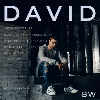 David by BW