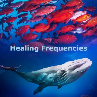 Healing Frequencies by Sleeping Ocean