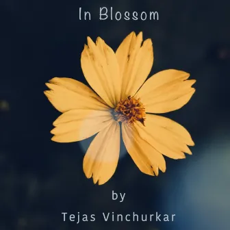 In Blossom by Tejas Vinchurkar