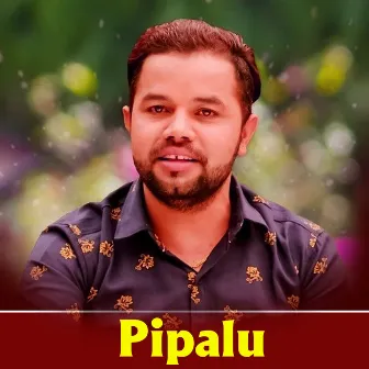 Pipalu by 