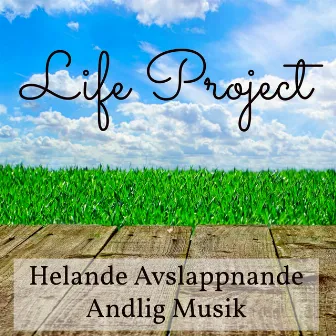 Life Project - Helande Avslappnande Andlig Musik med Instrumental New Age Söta Meditativ Ljud by Unknown Artist