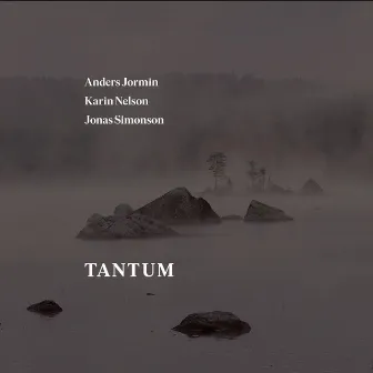 Tantum by Karin Nelson