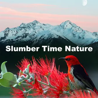 Slumber Time Nature by 