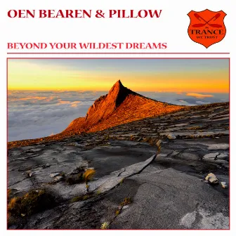 Beyond Your Wildest Dreams by Pillow