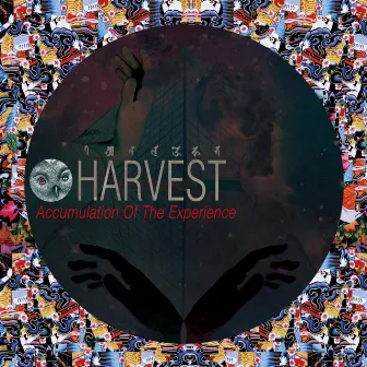 pile the day by HARVEST