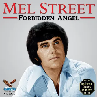 Forbidden Angel by MEL STREET