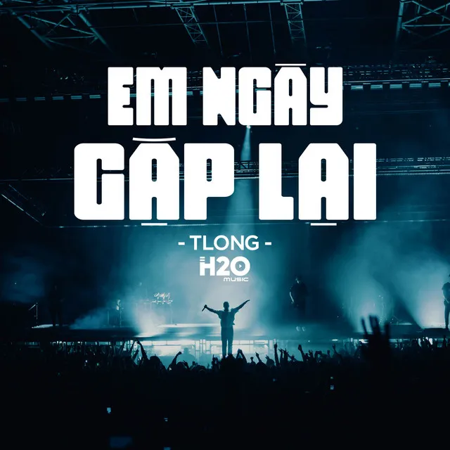 Em Ngày Gặp Lại Remix