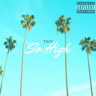 So High by Tayy