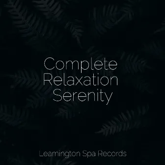 Complete Relaxation Serenity by Sounds of Nature Relaxation