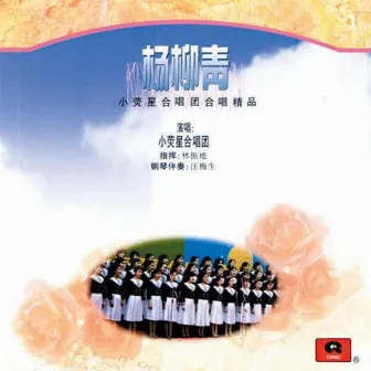 The Green Poplar and Willow: Little Glittering Star Choir by Little Glittering Star Choir