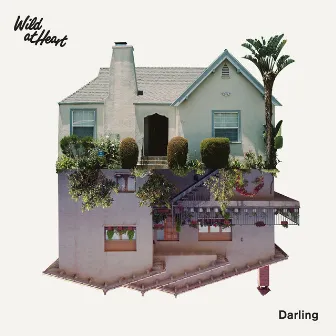 Darling by Wild At Heart