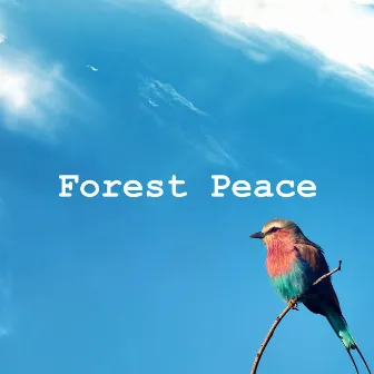 Forest Peace by Birds on Television