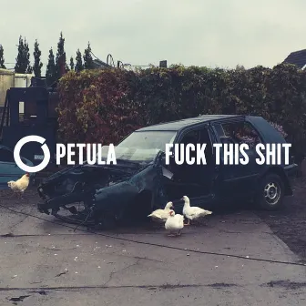 Fuck This Shit by Petula