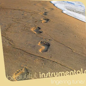 Beautiful Instrumentals: Lingering Tunes by Rüdiger Piesker