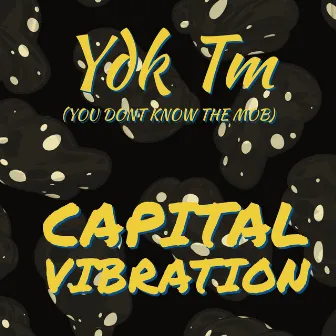 Capital Vibration by Ydk Tm You Don't Know the Mob