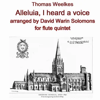 Alleluia I heard a voice arranged for flute quintet by 