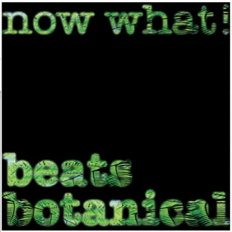 Now What! by Beats Botanical