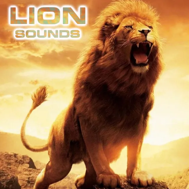 Lion Sounds