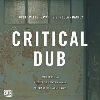 Critical Dub by Toroki