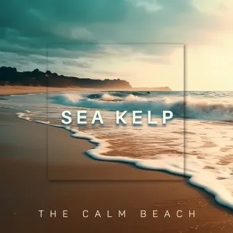 The Calm Beach by Sea Kelp