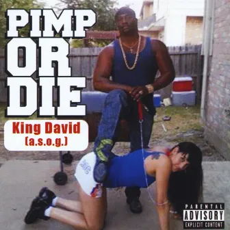 Pimp or Die by KingDavid