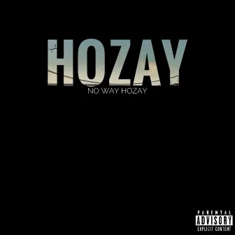 No Way Hozay by Hozay