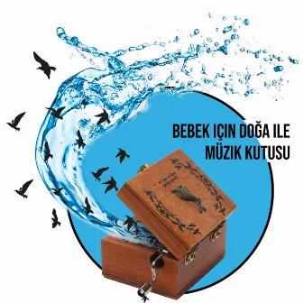 Bebek için Doğa ile Müzik Kutusu by Bebek Uyku Ninnileri