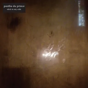 Stick to My Side by Pantha Du Prince