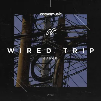 Wired Trip by Gange