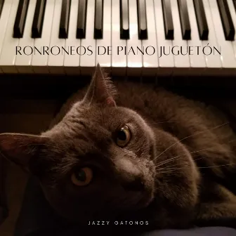 Jazzy Gatonos: Ronroneos De Piano Juguetón by Café Música Jazz Canal