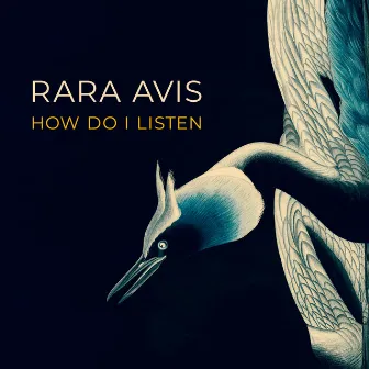 How Do I Listen by Albert Van Veenendaal