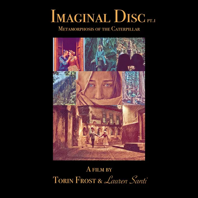 Introducing: Imaginal Disc Pt.I