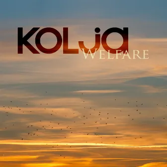 Welfare by Kolja