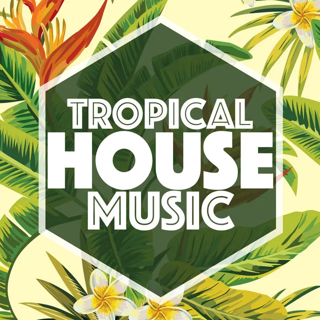 Tropical House Music