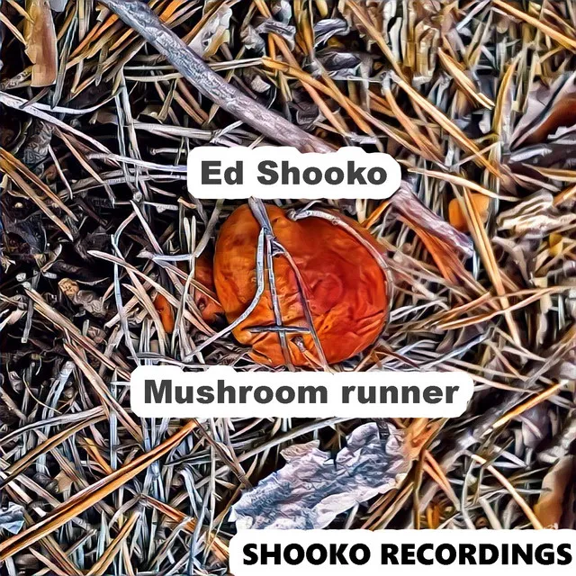 Mushroom Runner - Original Mix