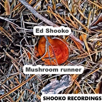 Mushroom Runner by Ed Shooko