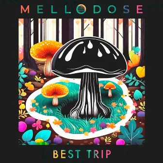 Best Trip by Mellodose