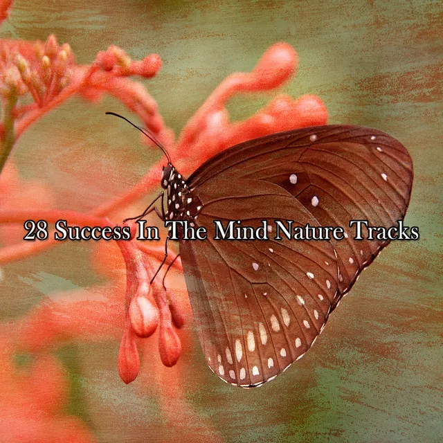 28 Success In The Mind Nature Tracks