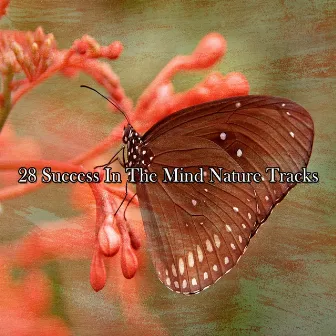 28 Success In The Mind Nature Tracks by Nature Sounds - Sons de la nature