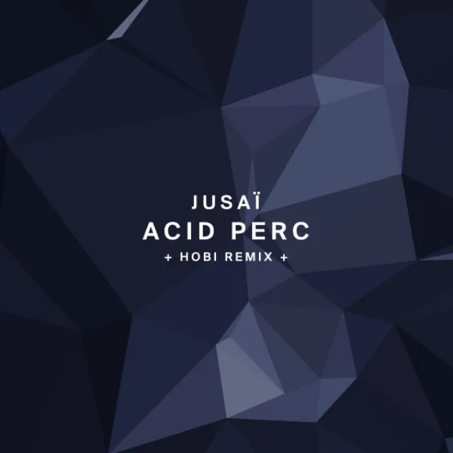 Acid Perc - Original Mix