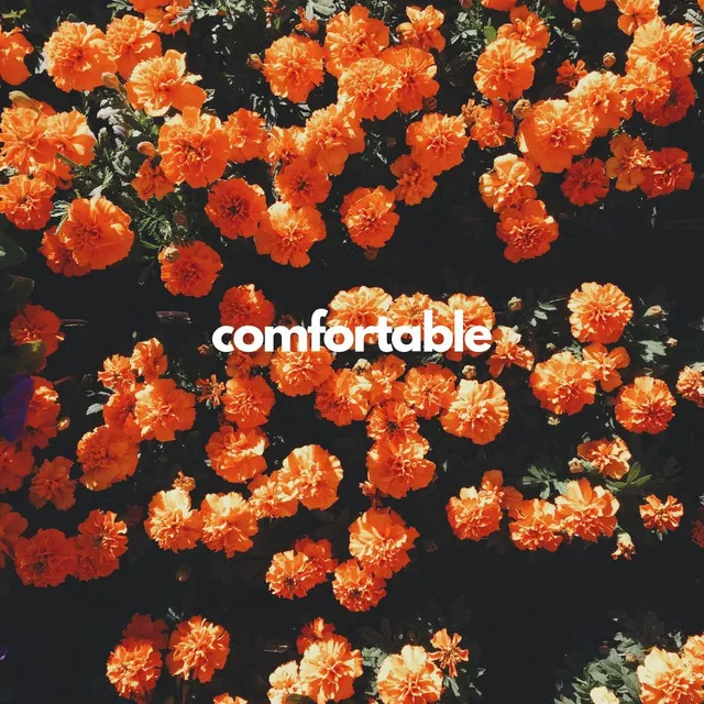 Comfortable