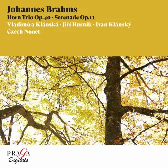 Johannes Brahms: Horn Trio, Op. 40, Serenade, Op. 11 by Vladimíra Klánská